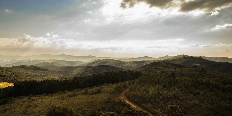 广发网39:金融知识、市场分析与投资理财的融合之道