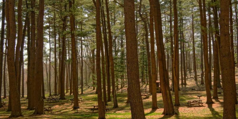 广发网94：金融知识赋能，打造专业理财平台与财富管理新生态