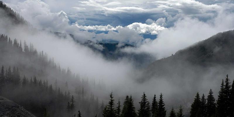 广发网外汇交易入门教程：掌握市场分析与财富管理核心技巧