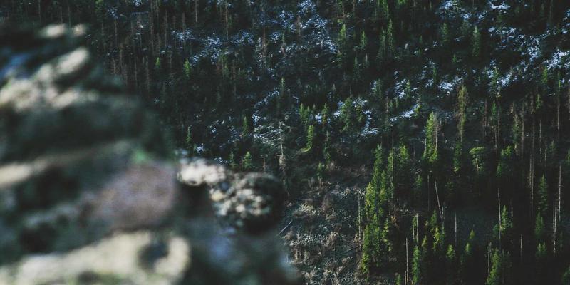 广发网手机银行App隐藏功能大揭秘：三大投资理财与市场分析利器，助您提升移动金融效率