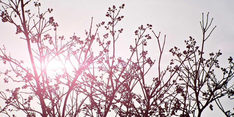 广发网:数字化时代下的投资理财与财富管理新枢纽