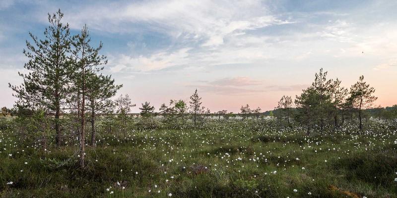 理财平台市场分析：从广发网征信报告查询入口看投资理财的信用基石