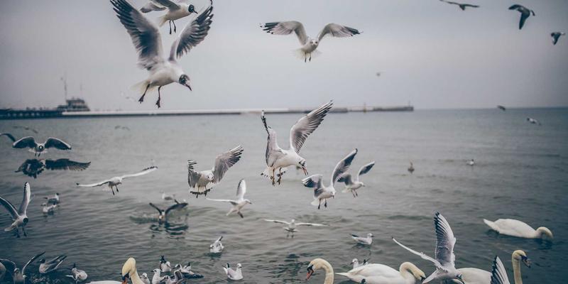 财富管理新视角：广发网线上申请房贷预审批全解析，助您精准投资理财